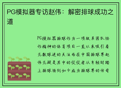 PG模拟器专访赵伟：解密排球成功之道